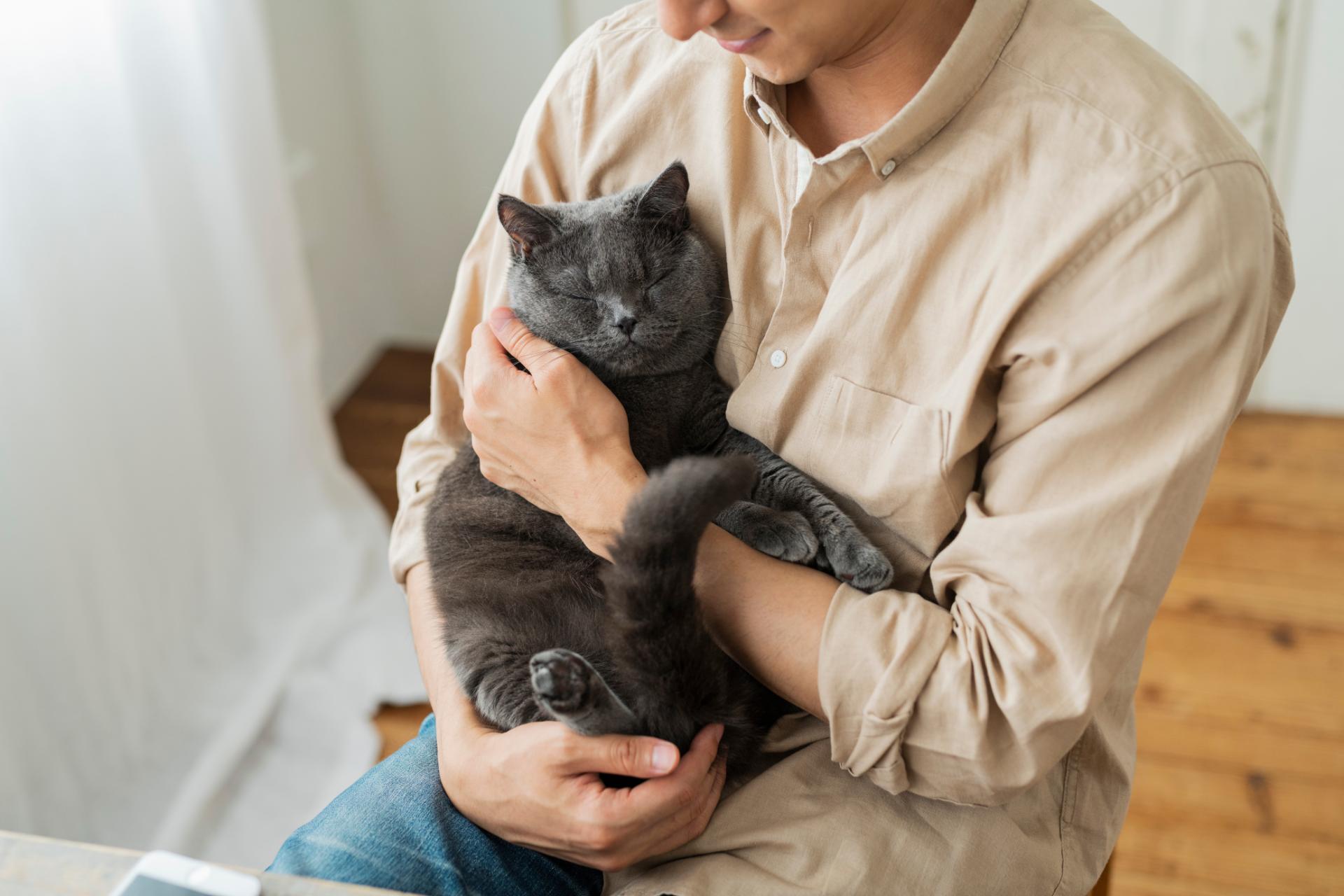 AdobeStock_373119180-8256x5504 (1)