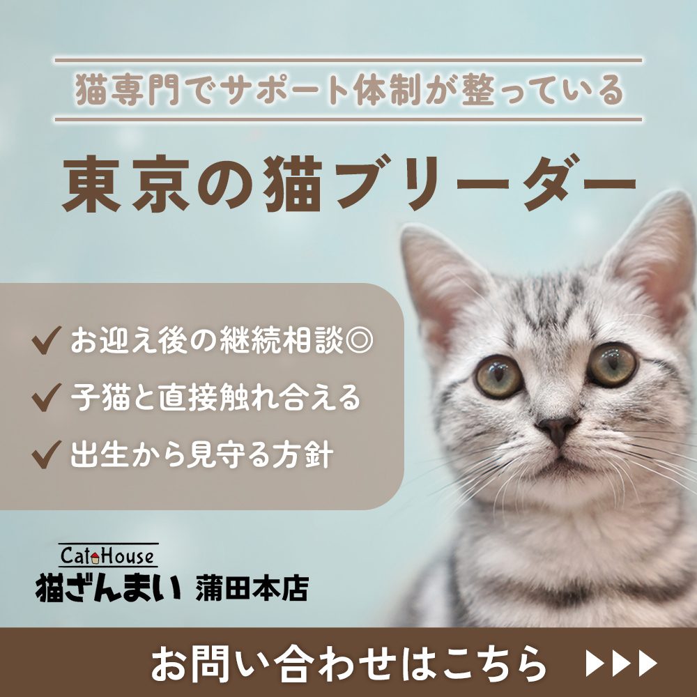 modal_banner